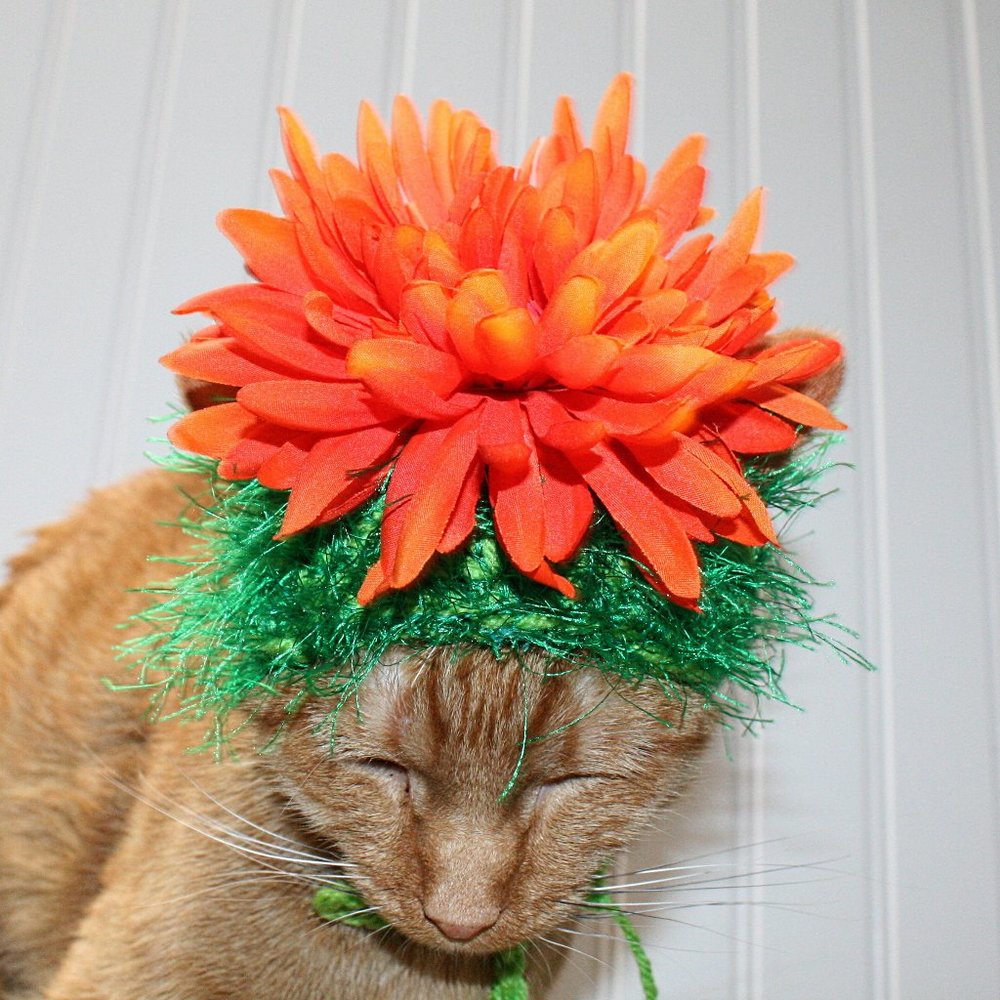 HAND CRAFTED Flower Child Cat Hat Crochet Hairy Wig Costume Photo Prop - Picture 4 of 14